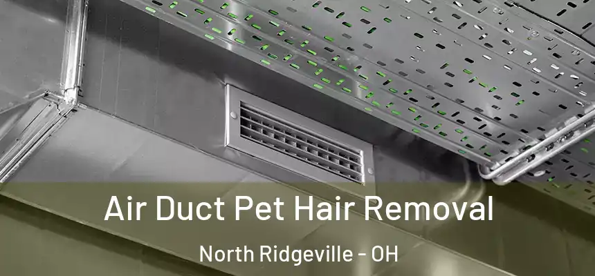  Air Duct Pet Hair Removal North Ridgeville - OH