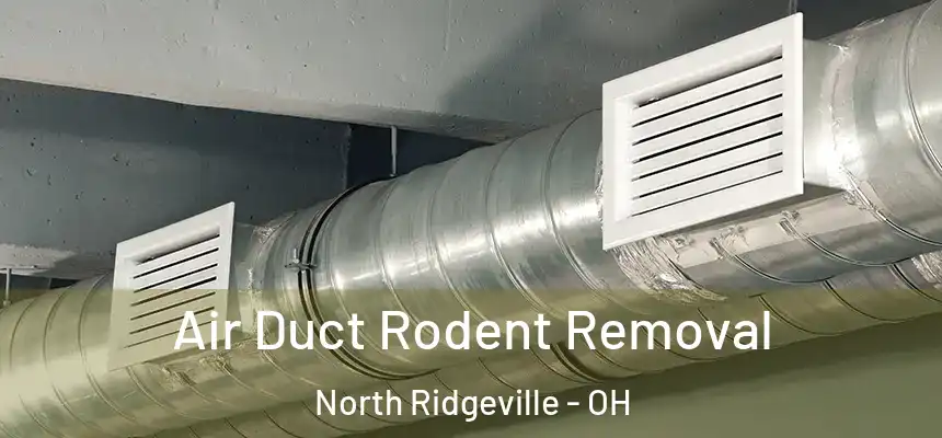  Air Duct Rodent Removal North Ridgeville - OH