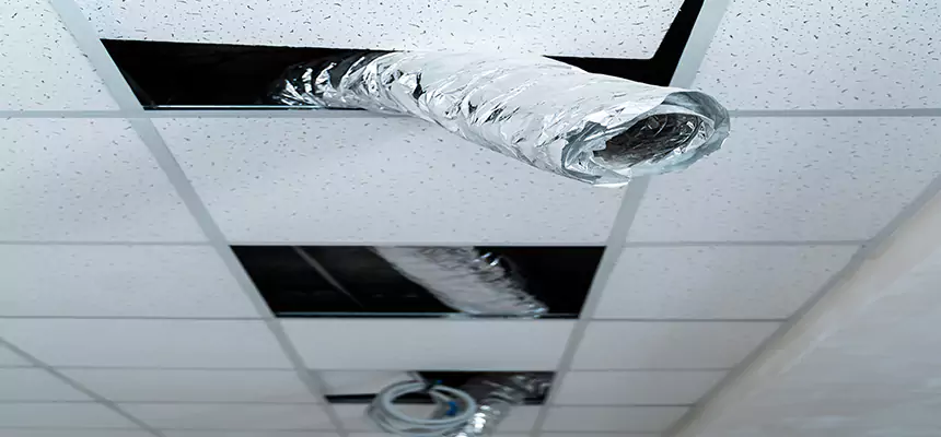 Our Air Duct Pet Hair Removal Services in North Ridgeville, OH