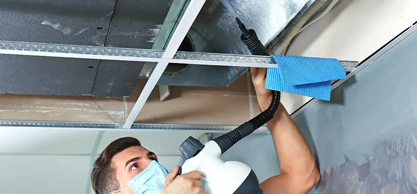 Our Air Duct Rodent Removal Services in North Ridgeville, OH