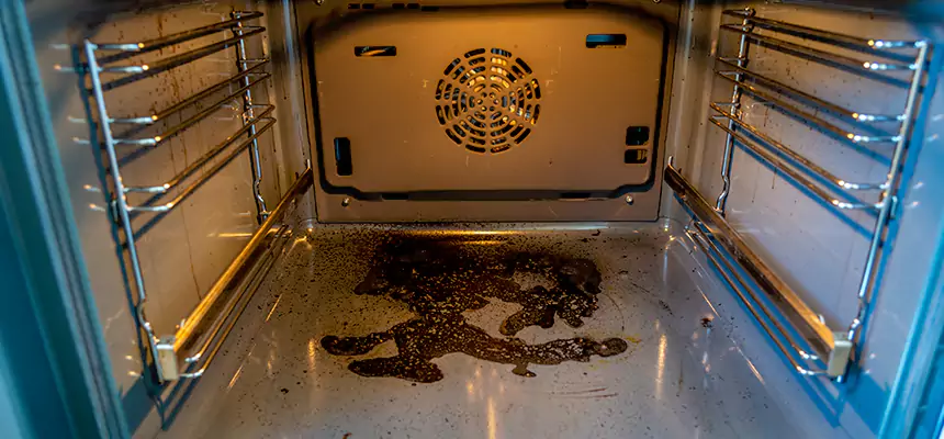 Our Dryer Vent Mold Cleaning Services in North Ridgeville, OH