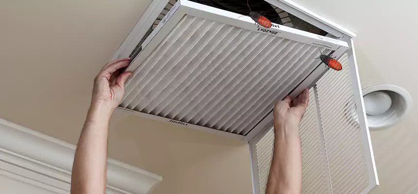 Our Insect Removal from Air Ducts Services in North Ridgeville, OH