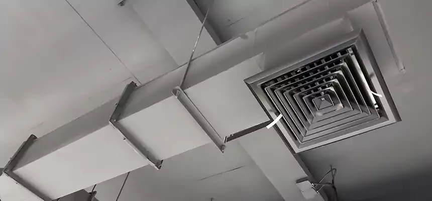 Our Rodent Droppings In Vents Services in North Ridgeville, OH