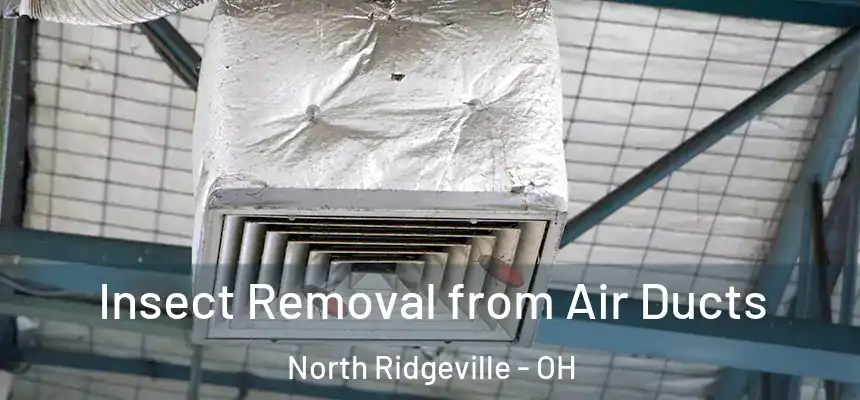  Insect Removal from Air Ducts North Ridgeville - OH