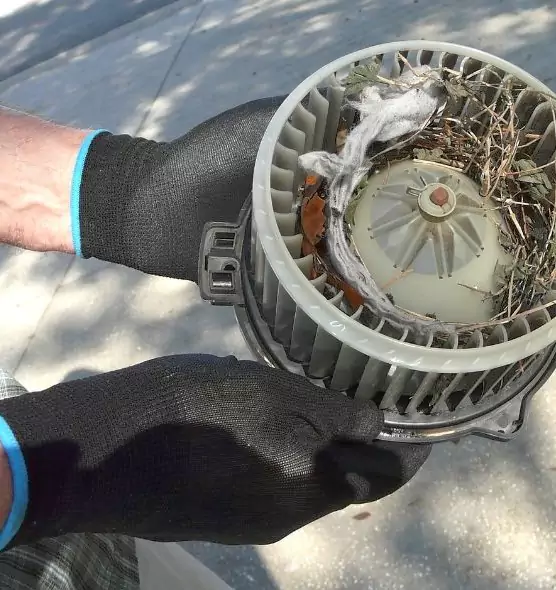 About Air Duct Mice Removal in North Ridgeville, OH